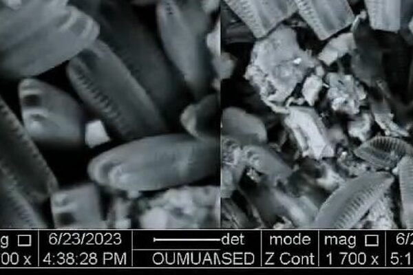 Microchondrules in LA ROCA Rock Sample