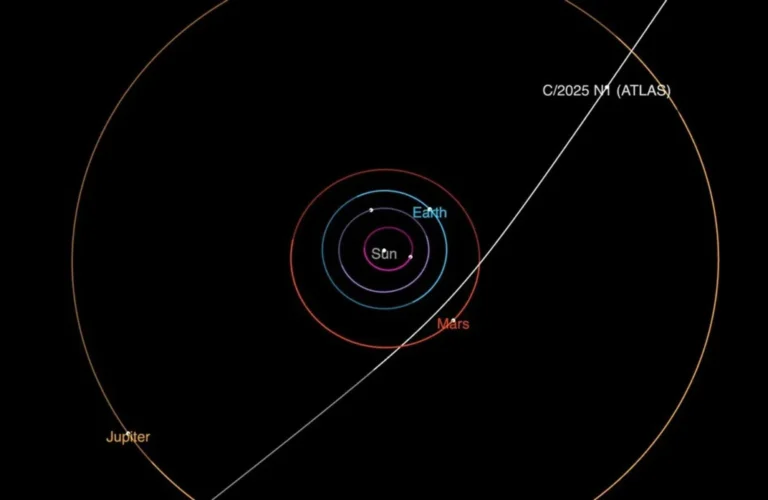 Oumuamua scout mothership theory